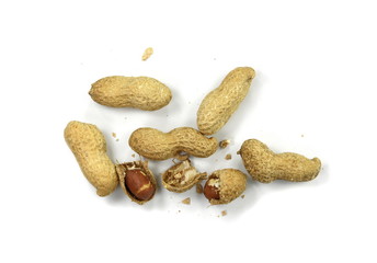 Peanuts isolated on the white background. Peanuts pod or arachis isolated on white background