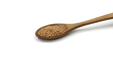 Dry yellow mustard seeds isolated on white background. Macro photo of sinapis alba close up. Seeds of white mustard (Sinapis alba). The seeds (Sinapis albae semen)