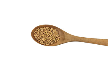 Dry yellow mustard seeds isolated on white background. Macro photo of sinapis alba close up. Seeds of white mustard (Sinapis alba). The seeds (Sinapis albae semen)