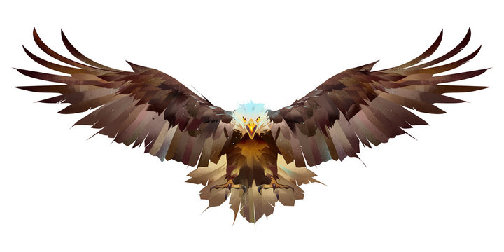 painted bright eagle on a white background flaps its wings
