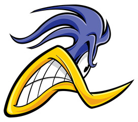 Roadrunner mascot