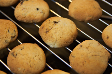 Close-up of some homemade cookies fresh from the oven