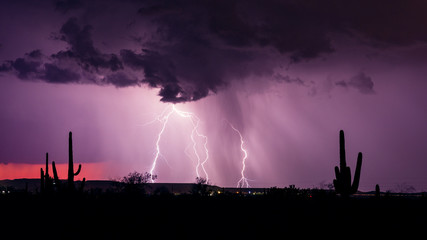 Monsoon season lightning storm in the desert