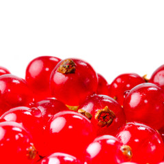 Close-up photo of red currant berry isolated over white background.