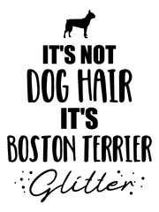 It's not dog hair, it's Boston Terrier glitter