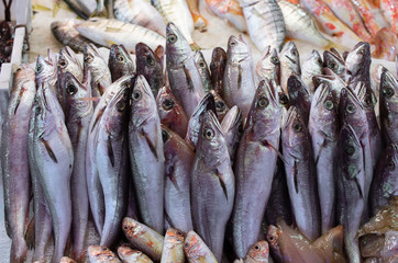 Cod for sale at the Pescheria fish market in Catania, Sicily, Italy. 
