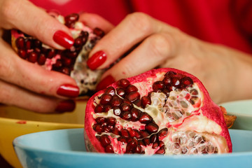 Pomegranate fruit in female hands.