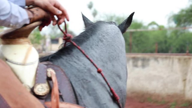 Charro a caballo con montura tradicional mexiacana