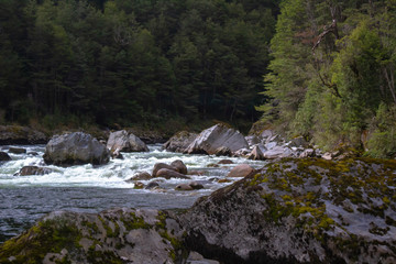 stream in forest