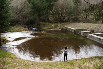 Bosque 2