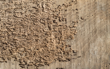 old, moth-eaten wooden board