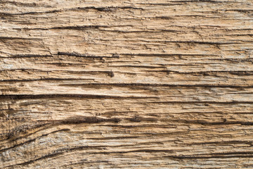 abstract texture of an old wooden plank