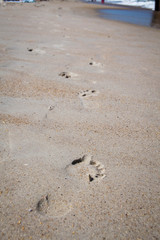 Footsteps in the sand