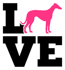 Whippet love
