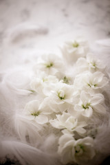 Obraz na płótnie Canvas 白い花と柔らかな羽　結婚式のイメージ