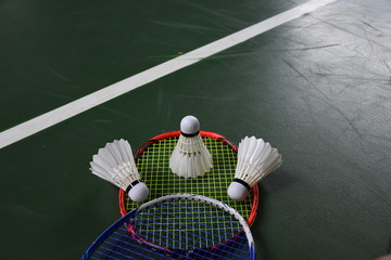 Badminton Feather Shuttlecocks