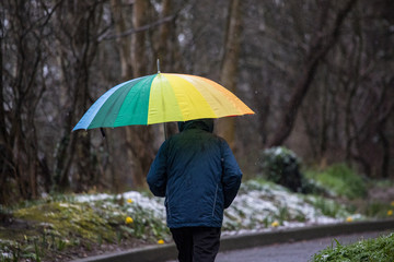 Man with colorful umbrella walking through the a woodland park in the rain
