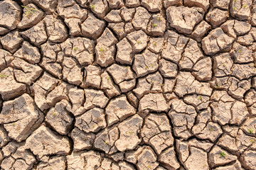 Dry soil results from lack of water.Global warming
