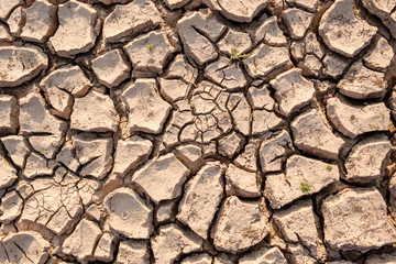 Dry soil results from lack of water.Global warming