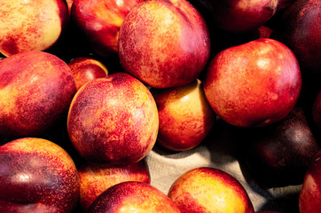 Nectarine