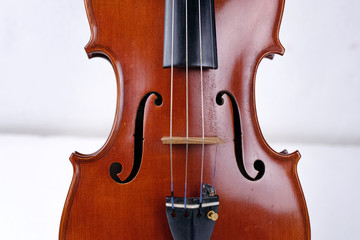 Front side of violin,show detail of stringed instrument