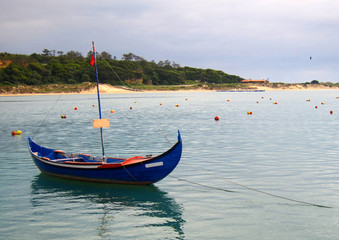 Blue boat moored near beach