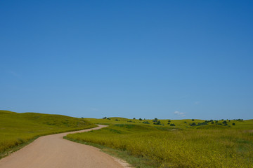 Dirt Road on Side of Badlands Fields