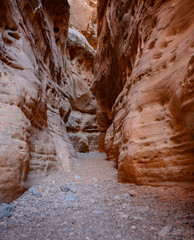 Dry Slot Canyon of Sandstone