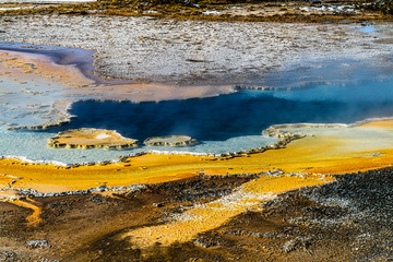 CRESTED POOL