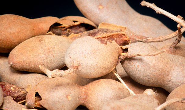 Tamarind tropical fruit - Tamarindus indica 