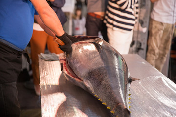 マグロの解体ショー