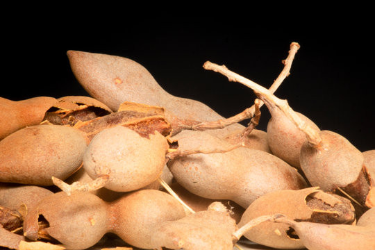 Tamarind tropical fruit - Tamarindus indica 