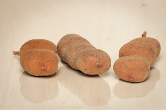 Tamarind tropical fruit - Tamarindus indica 