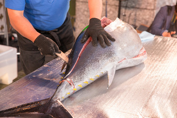 マグロの解体ショー