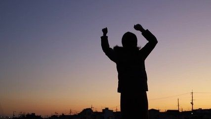 手を振る女性のシルエット Wall Mural Wallpaper Murals Beeboys