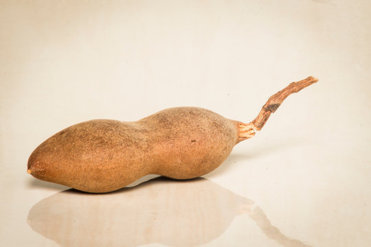 Tamarind tropical fruit - Tamarindus indica 
