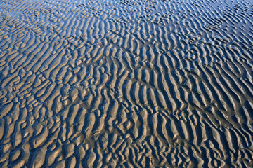 texture of wet sand on a beach during low tide.