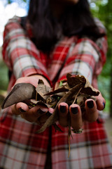 Close up of woman hands holding up a bunch of dry leaves