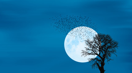 Silhouette of lone tree with moon with full moon 