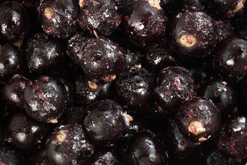 Fresh frozen black currants. Close up