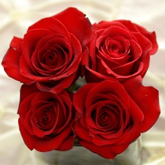 aerial view of a bouquet of four red roses at a wedding