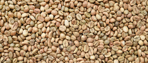  Close up of coffee beans for background                                  