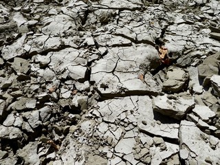 Cracked mud - dried up Assiniboine River bottom