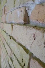texture of old  brick wall