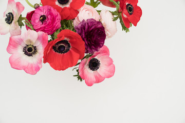 Pink blush and maroon ranunculus and anemone flowers flat lay