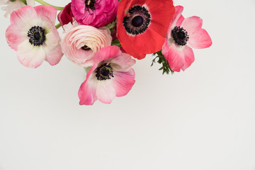 Pink blush and maroon ranunculus and anemone flowers flat lay