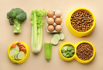 Composition with dry pet food and natural products on color background