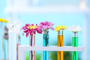 Test tubes with flowers in laboratory