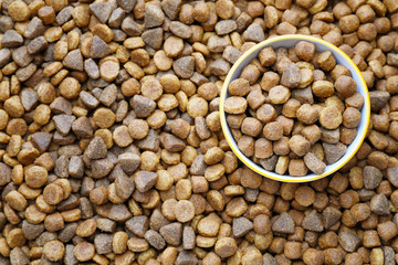 Bowl on dry pet food