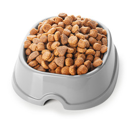Bowl with dry pet food on white background